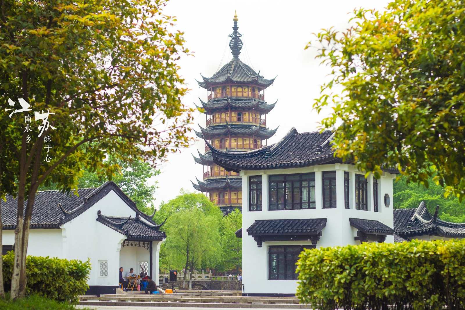 青果巷